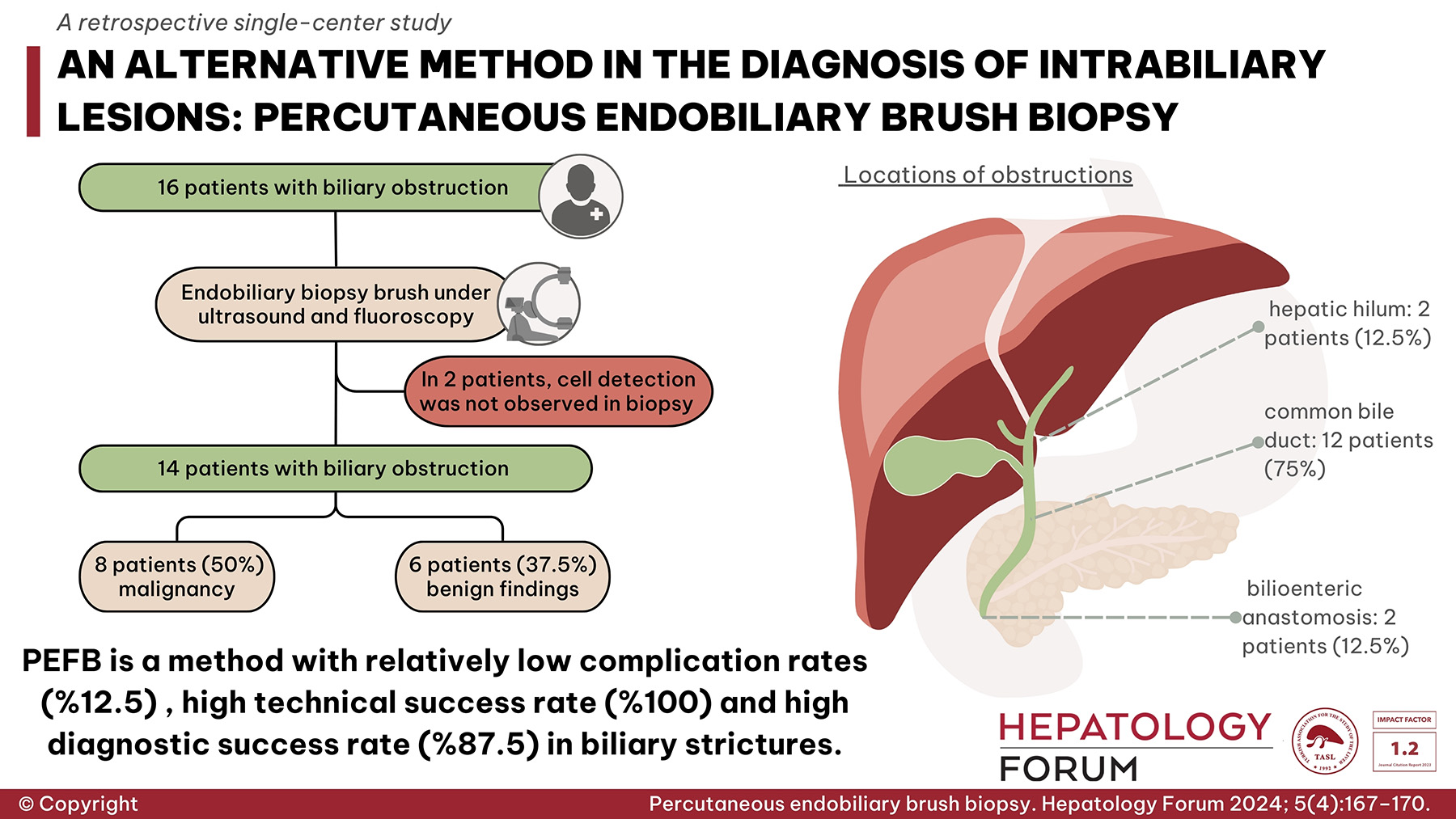 Graphical abstract – full size
